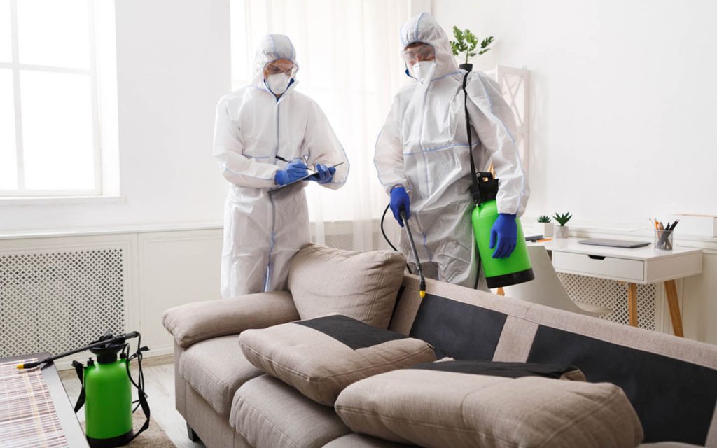 Pest Control Service in ajman