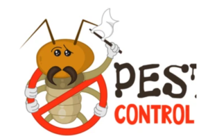 Pest Control Services for Shopping Malls