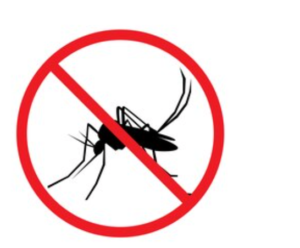 Malaria