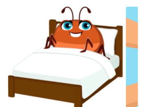 How to control bed bugs