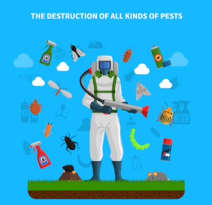 Innovative Pest Control Services in Sharjah 