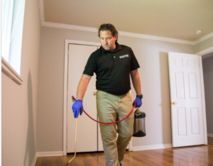 Pest Control Services for Landlords 