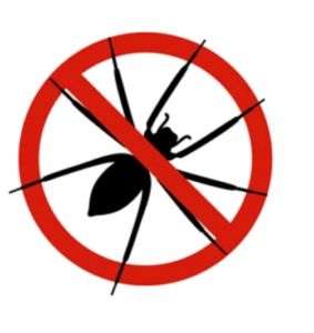 Mosquito-borne diseases