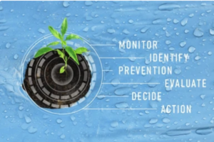 Impact of Pest control methods 