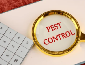 Impact of pandemic Covid-19 on pest control services