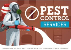 Pest Control Services in Sharjah 