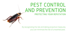 Pest Control Services for hospitality industry, Sharjah 