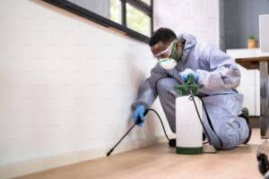 Understanding pest control process from inspection to treatment